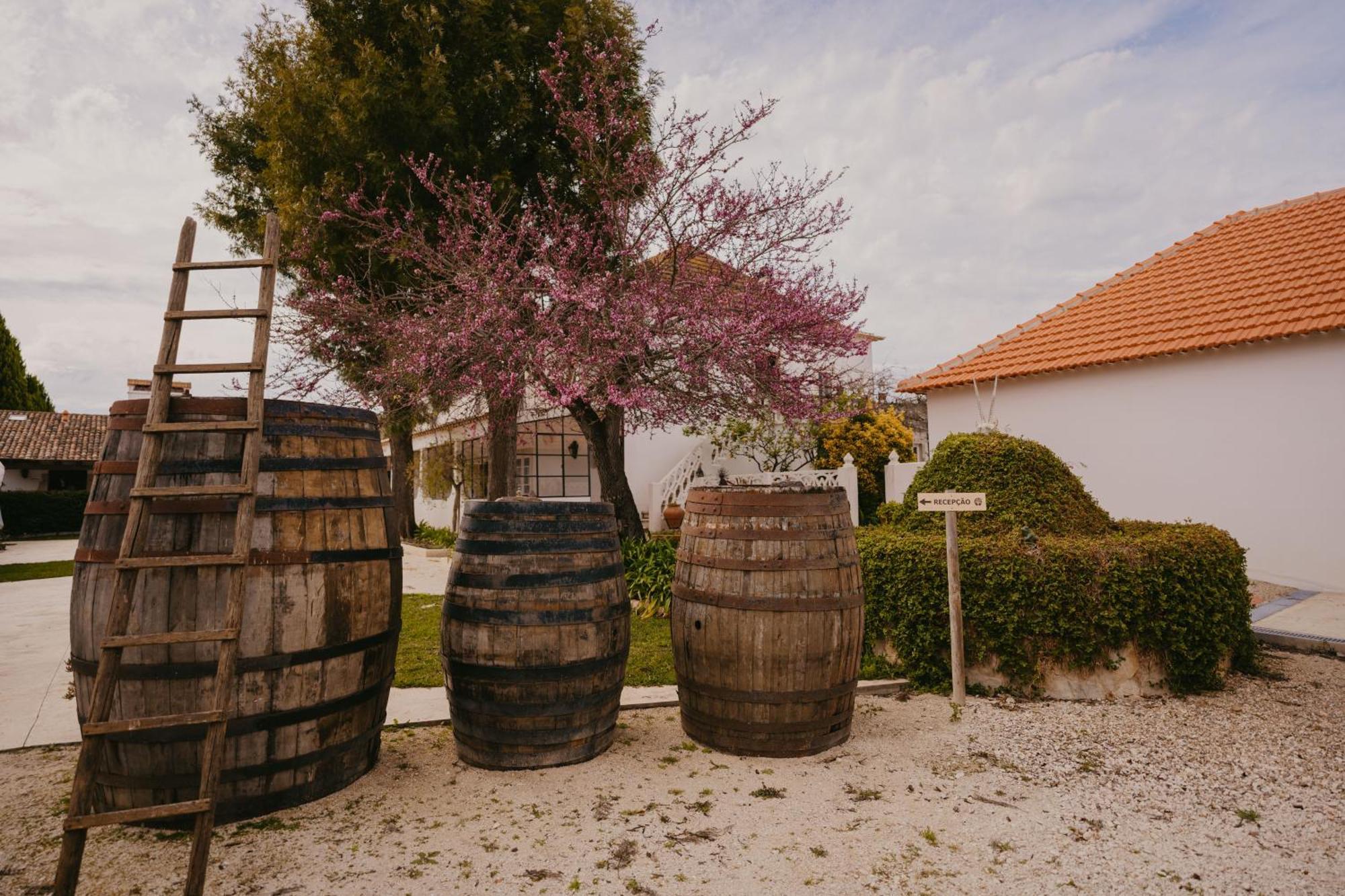 Quinta Carvalhas - The Green Farm Hotel Casevel Kültér fotó
