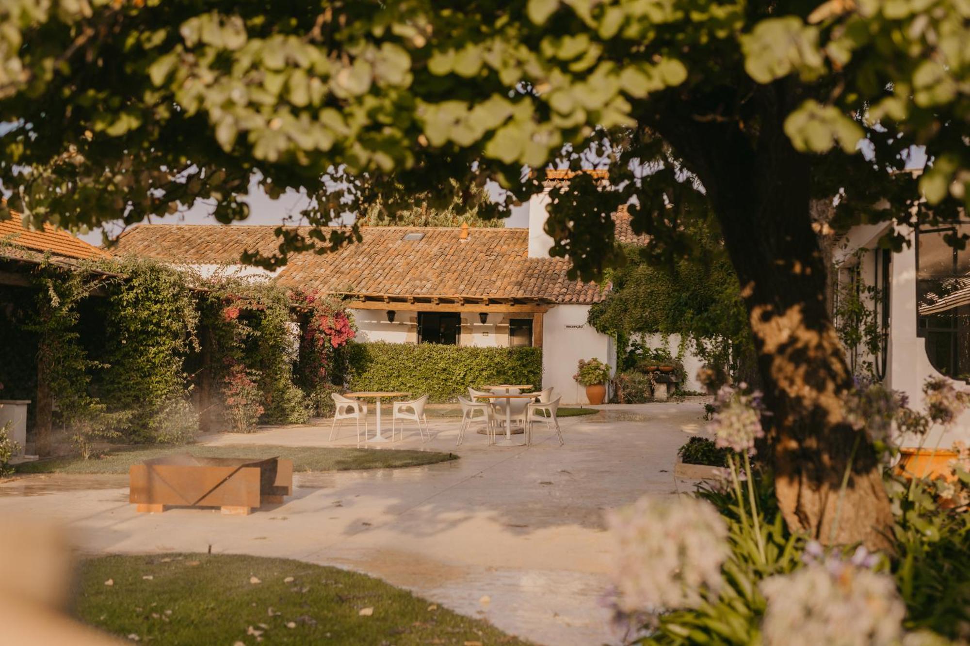 Quinta Carvalhas - The Green Farm Hotel Casevel Kültér fotó