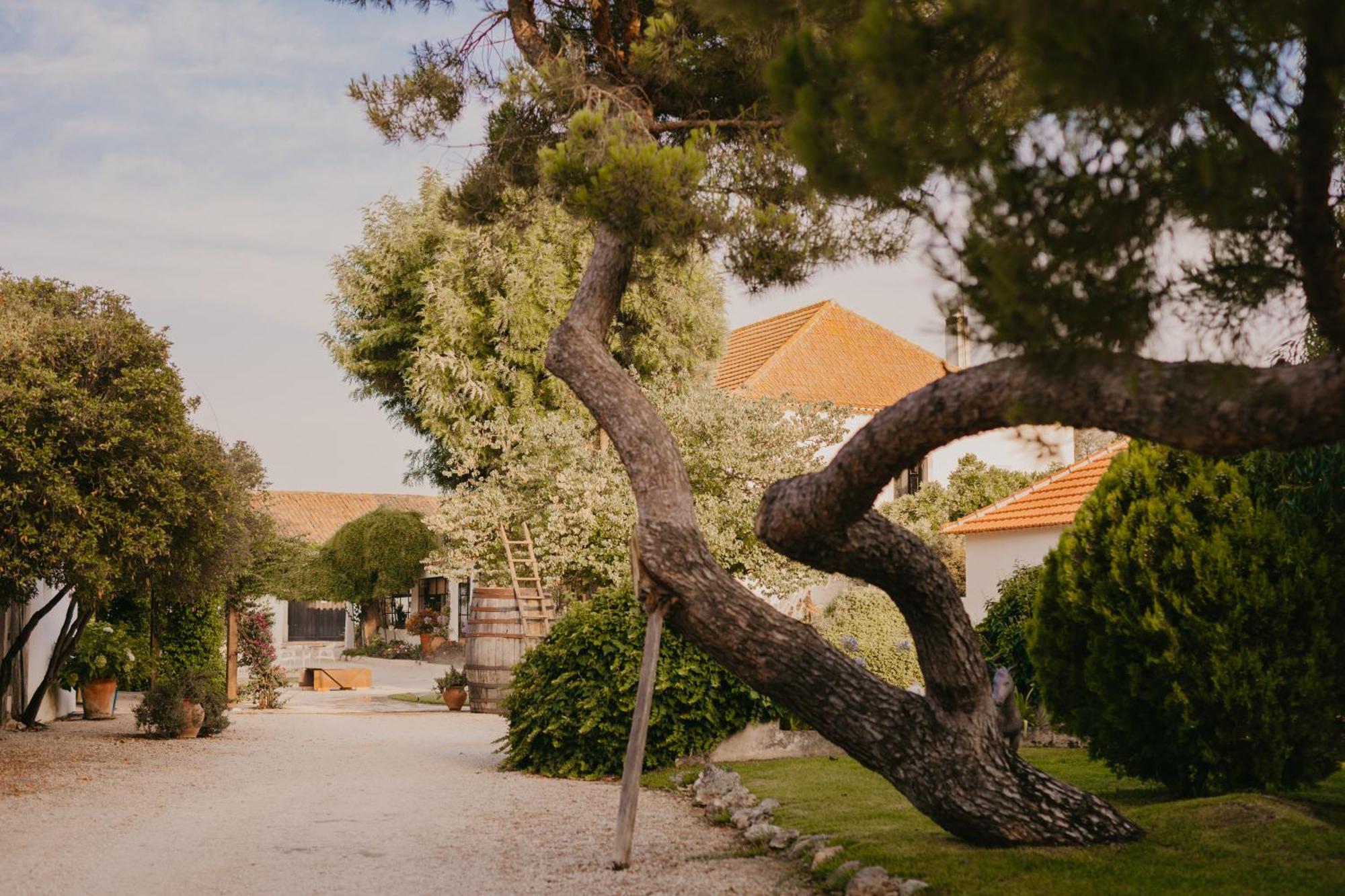 Quinta Carvalhas - The Green Farm Hotel Casevel Kültér fotó