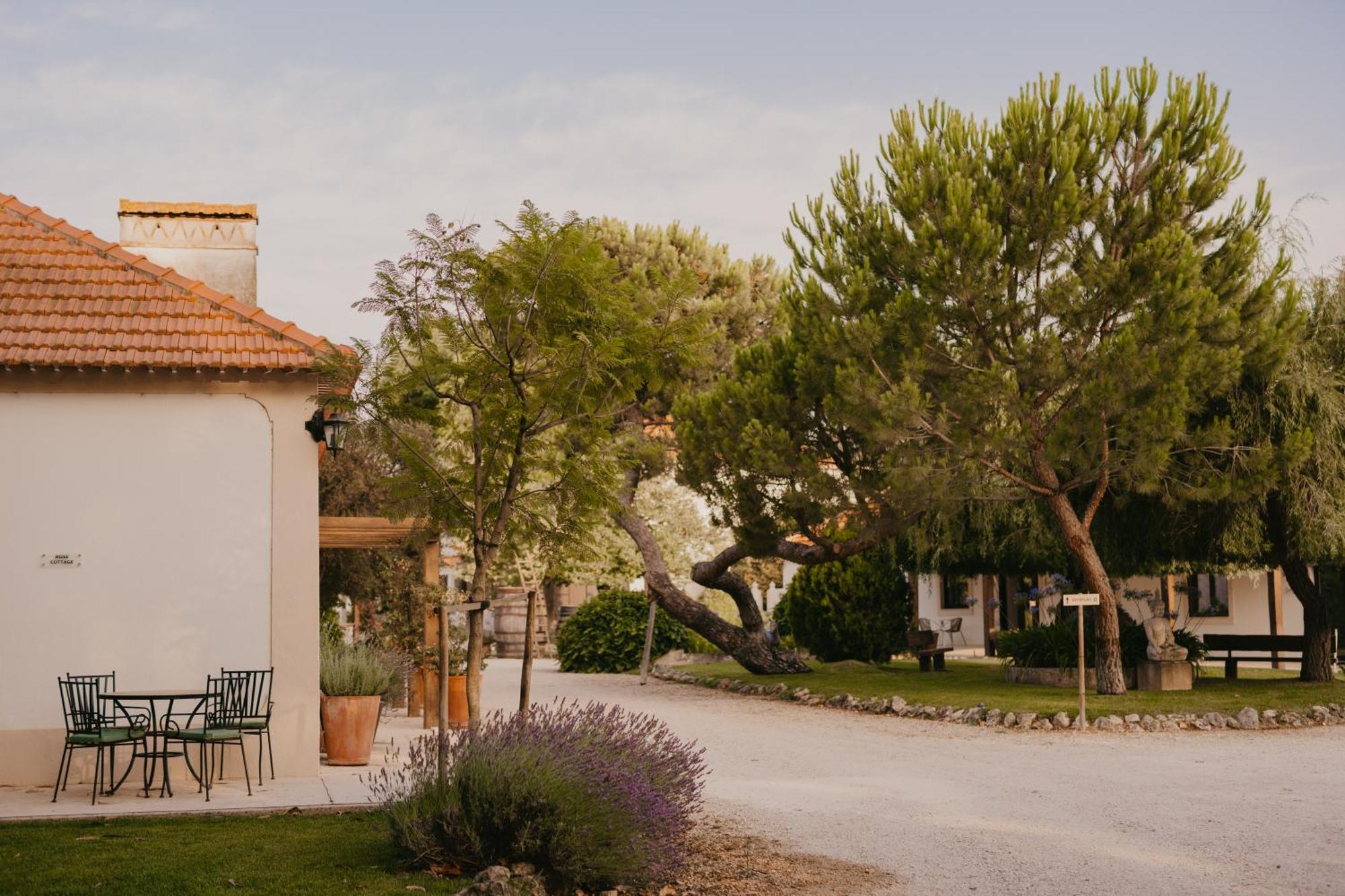 Quinta Carvalhas - The Green Farm Hotel Casevel Kültér fotó